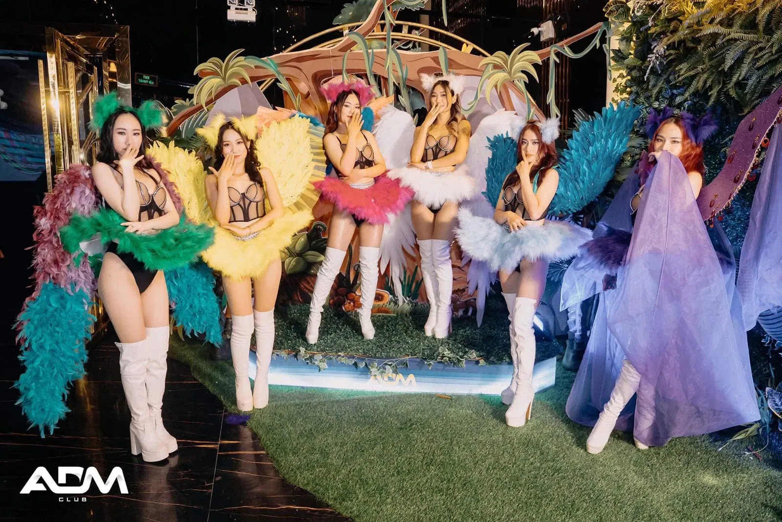 Carnival — đội hình lông vũ nhiều màu